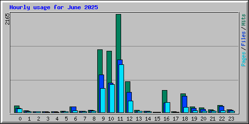 Hourly usage for June 2025