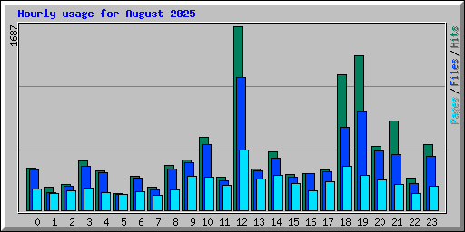 Hourly usage for August 2025