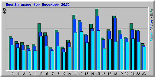 Hourly usage for December 2025